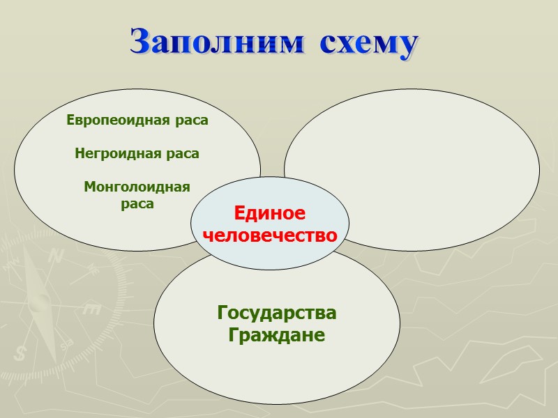 Заполним схему Европеоидная раса  Негроидная раса  Монголоидная раса  Государства Граждане Единое